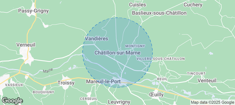 Discover Châtillon-sur-Marne Airbnb Analytics